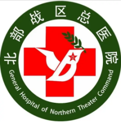 北部战区总医院